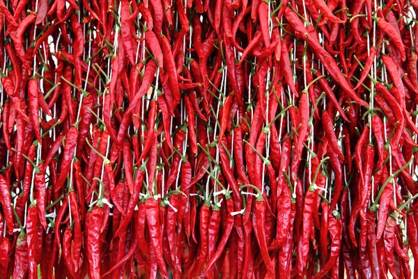 Rosso peperoncino piccante sfondo — Foto Stock