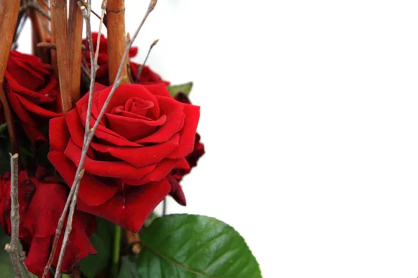Κόκκινο τριαντάφυλλο διακόσμηση — Φωτογραφία Αρχείου