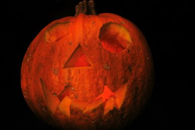 Cadılar Bayramı Balkabağı