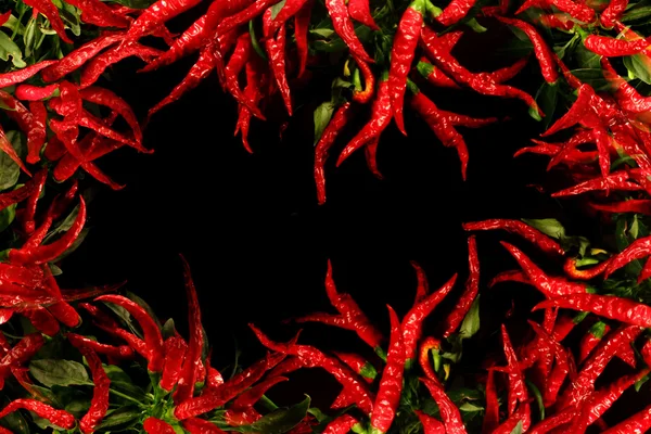 Красный горячий чили на черном фоне — стоковое фото