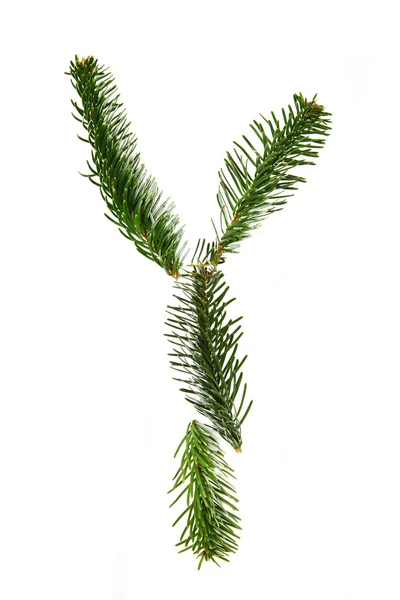 Y - symbol from christmas alphabet — Stock Photo, Image