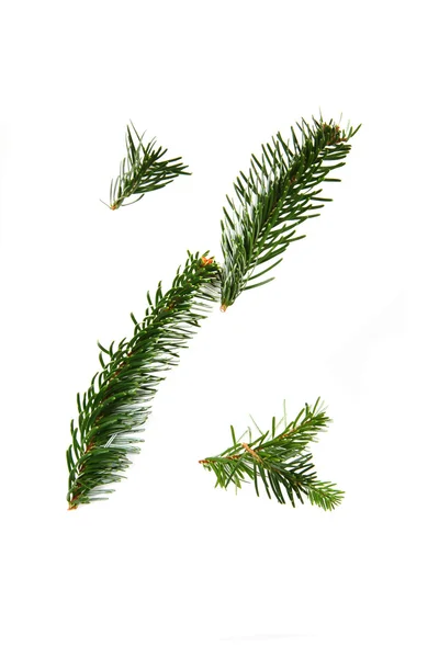 Percent sign - symbol from christmas alphabet — Stock Photo, Image