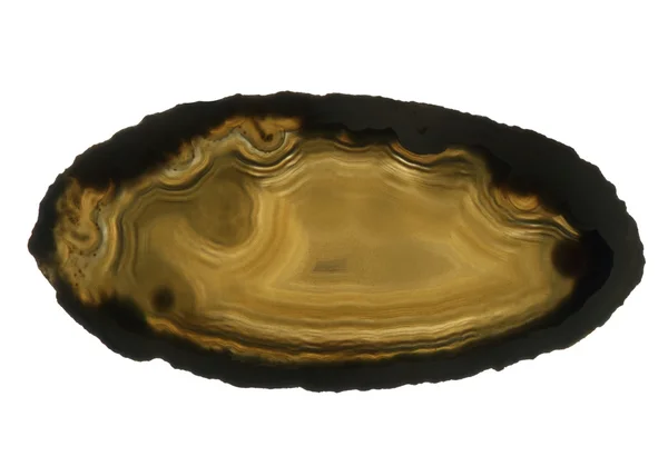 Brown agate gem isolated — Stock Photo, Image