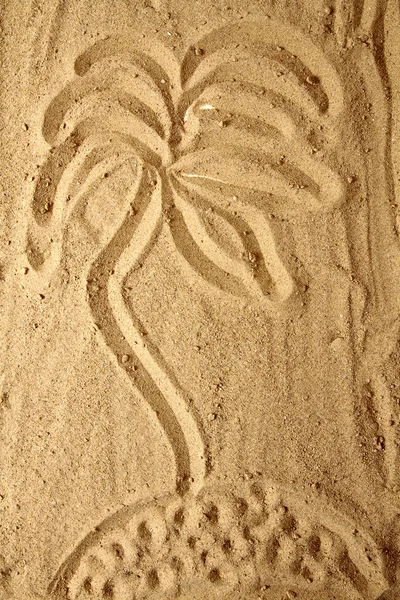 Geel zand textuur (palmboom) — Stockfoto