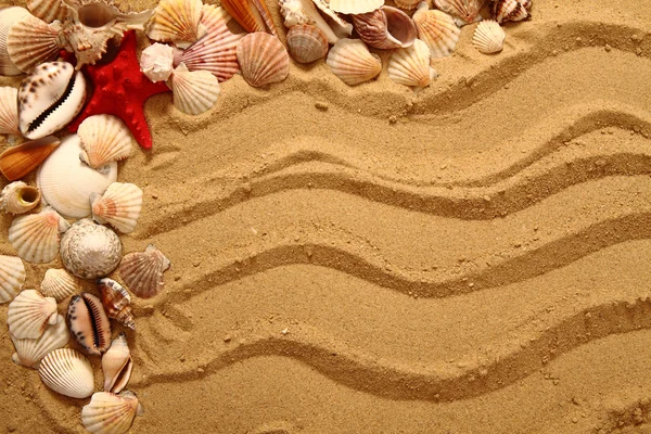 Sabbia e conchiglie come sfondo molto bello — Foto Stock