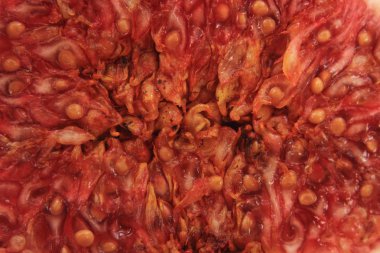 Gıda arka plan olarak taze incir