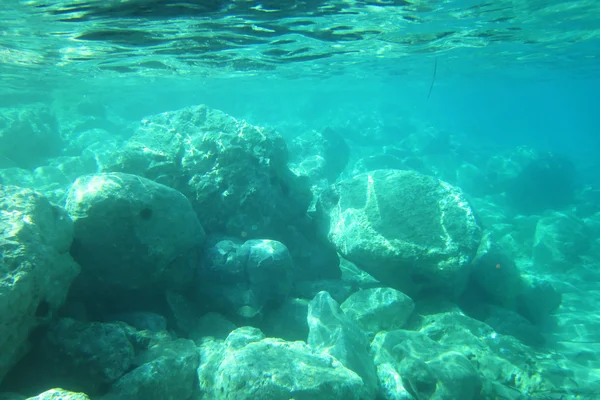 Under water scene in the sea — Stock Photo, Image