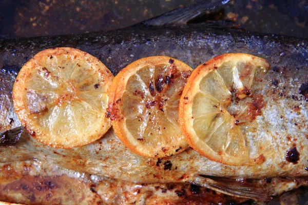 Detalhe do peixe de salmão cozido no forno — Fotografia de Stock