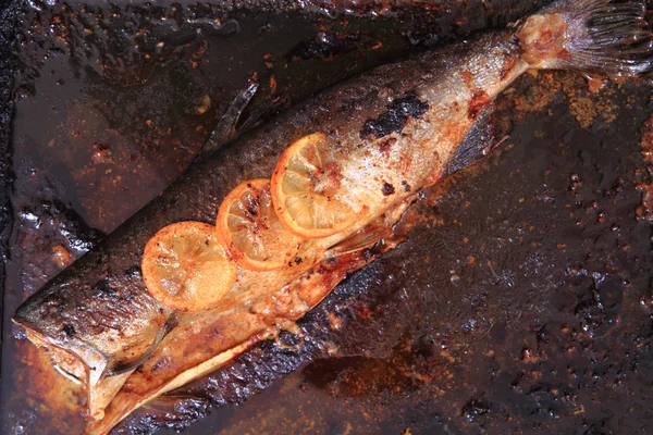 Detalhe do peixe de salmão cozido no forno — Fotografia de Stock