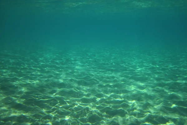 Limpede sub apă mare în greece — Fotografie, imagine de stoc