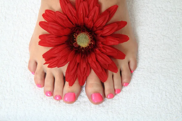 Pedicura uñas, pies y flores — Foto de Stock