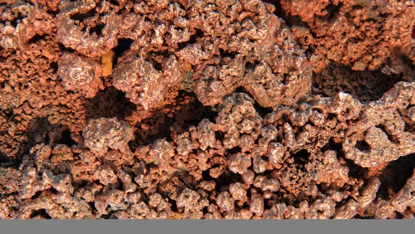 Fundo de cobre natural — Fotografia de Stock