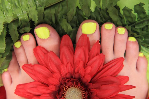 Damska nogi ładne paznokcie (pedicure) — Zdjęcie stockowe