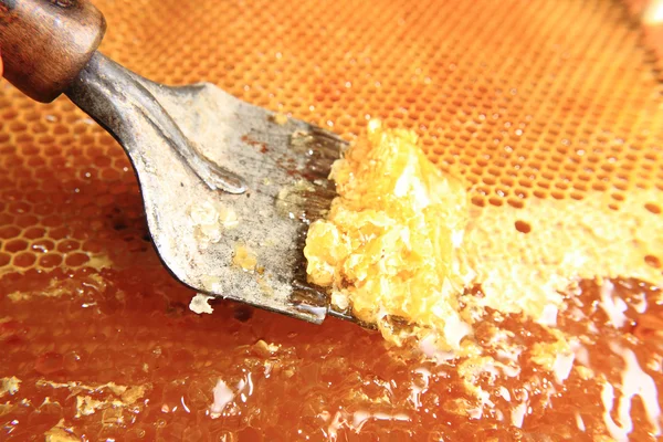 Удаление пчелиного воска из свежего меда — стоковое фото