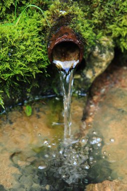 yeşil yosun eski çeşme 