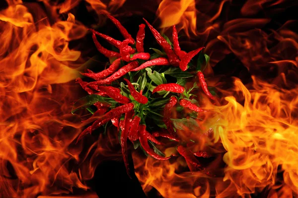 Chili in the flames — Stock Photo, Image