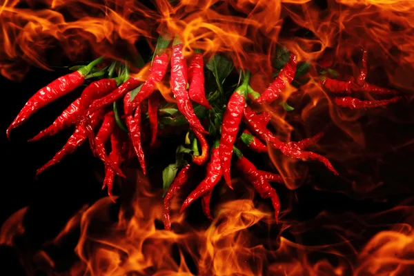 Chili in the flames — Stock Photo, Image