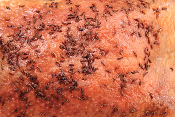 Pele grelhada de pato (textura alimentar ) — Fotografia de Stock