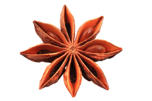Anise star (spice) isolated — Stock Photo, Image