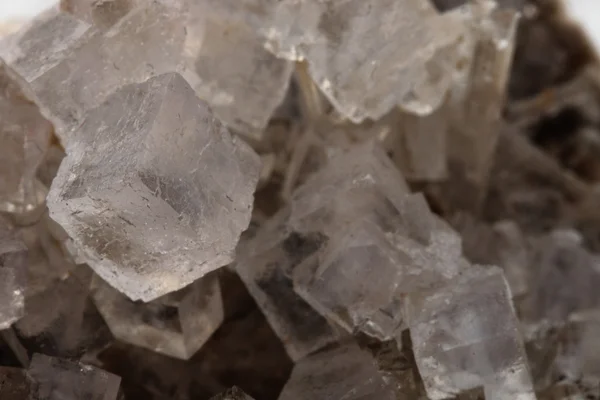 Salt kristall (kuber) — Stockfoto