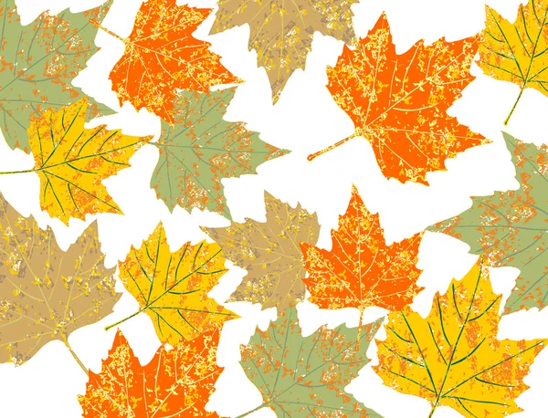 Colorful maple leaves grunge background — Stock Vector