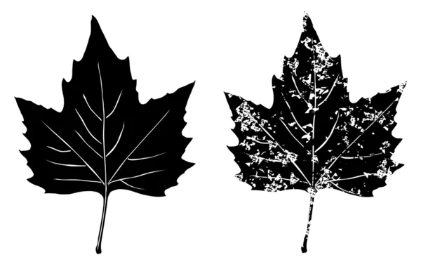 Grunge maple leaves — Stock Vector