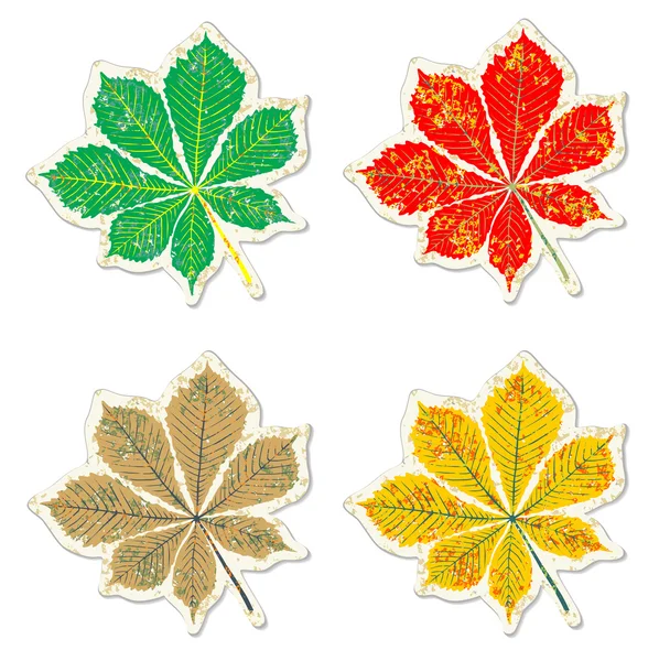 Leaves of chestnut tree grunge sticker — Stock Vector