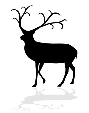 Reindeer vector illustration vector