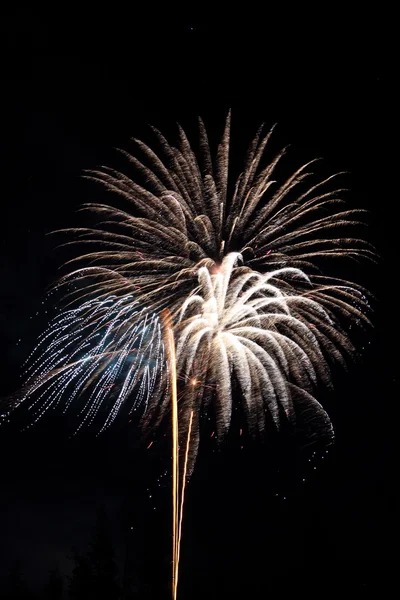 Exhibición de fuegos artificiales — Foto de Stock