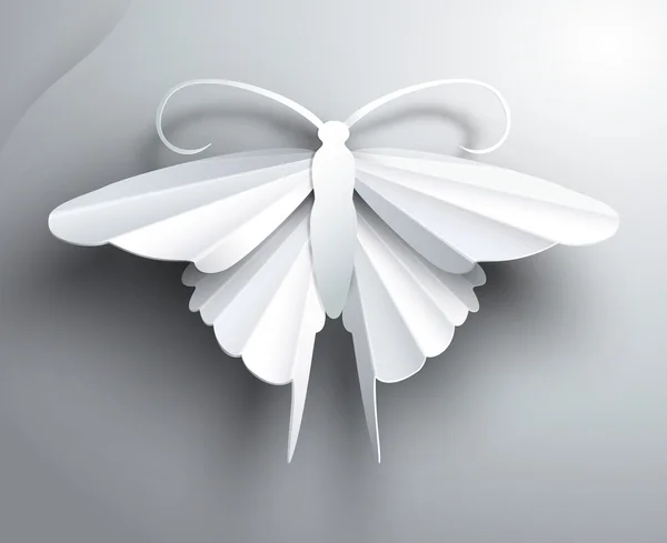 Hermosa mariposa de papel blanco 3D . — Archivo Imágenes Vectoriales