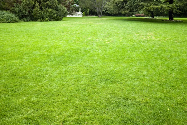 Pelouse dans un jardin botanique avec un arbre — Photo