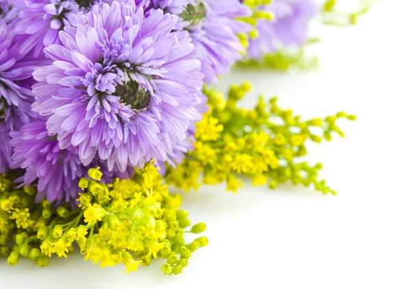 Beau bouquet de pourpre sur fond blanc Chrysanthème — Photo