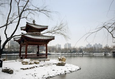 winter Park Lane ile kar