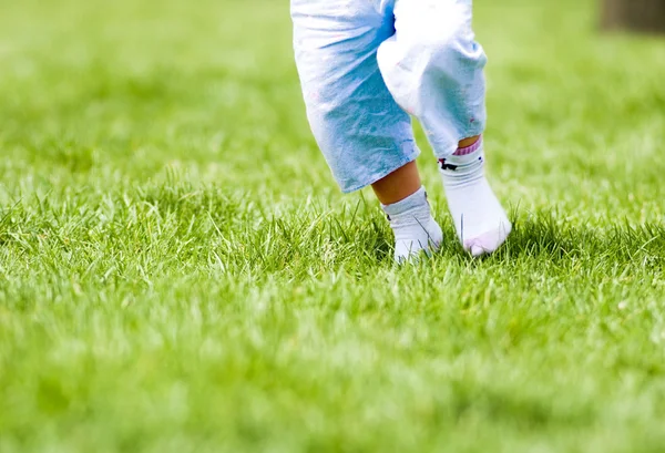 Barn i den gröna gräsmattan — Stockfoto