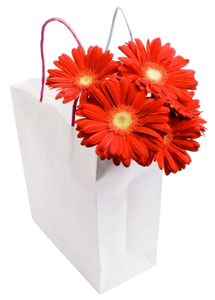 Bolsa de compras con flores de margarita de ramo — Foto de Stock