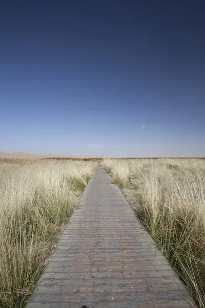 Le chemin le long de la roseau de falaise — Photo