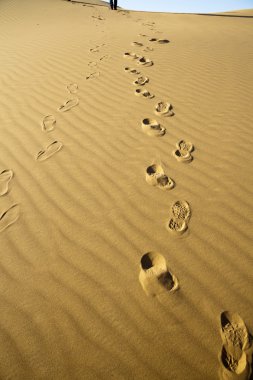 Çölde ayak izleri.