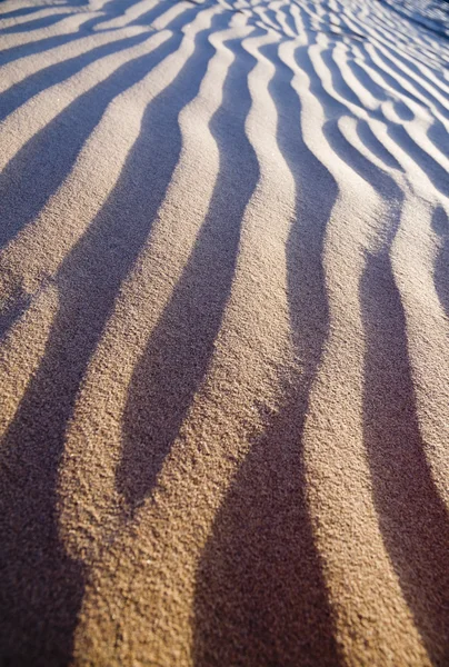 Desierto de arena — Foto de Stock