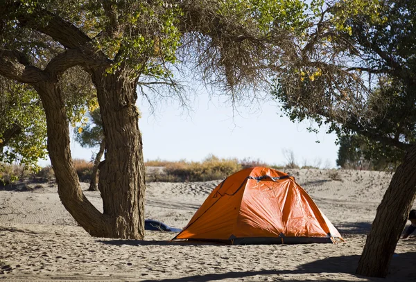 Camping met tent in Binnen-Mongolië — Stockfoto