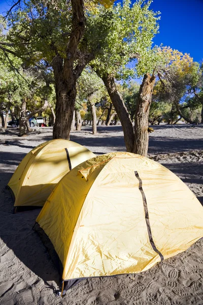 Camping met tent in Binnen-Mongolië — Stockfoto