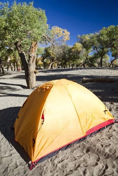 Camping met tent in Binnen-Mongolië — Stockfoto