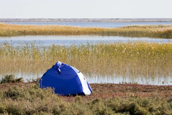 湖でキャンプ — ストック写真