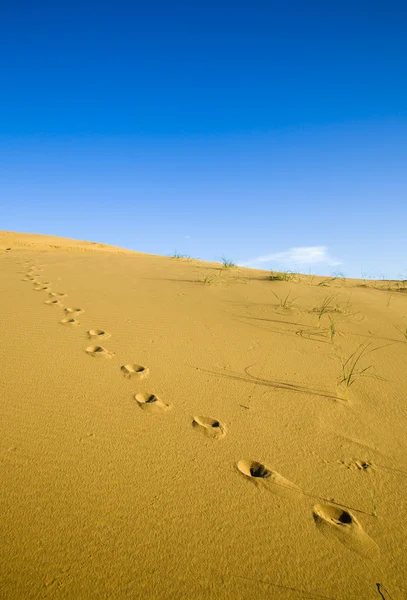 One set of footprints in the desert — Stock Photo, Image