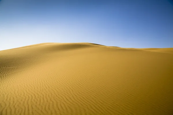 Désert de sable — Photo