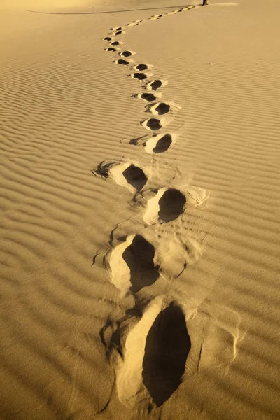 사막에 있는 발자국. — 스톡 사진