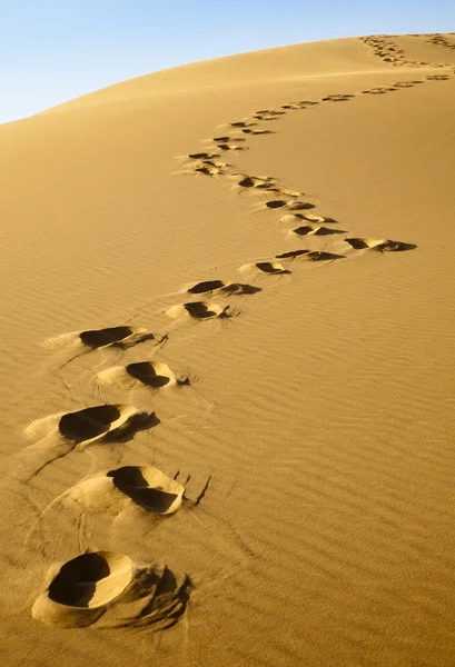 Impronte nel deserto . — Foto Stock