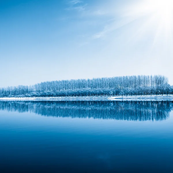 Winter scenic of a lake with snow covered trees. — Stock Photo, Image