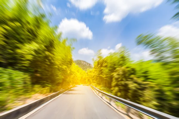 Road through the bamboo forest — Stock Photo, Image