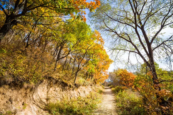 Camino de Otoño —  Fotos de Stock