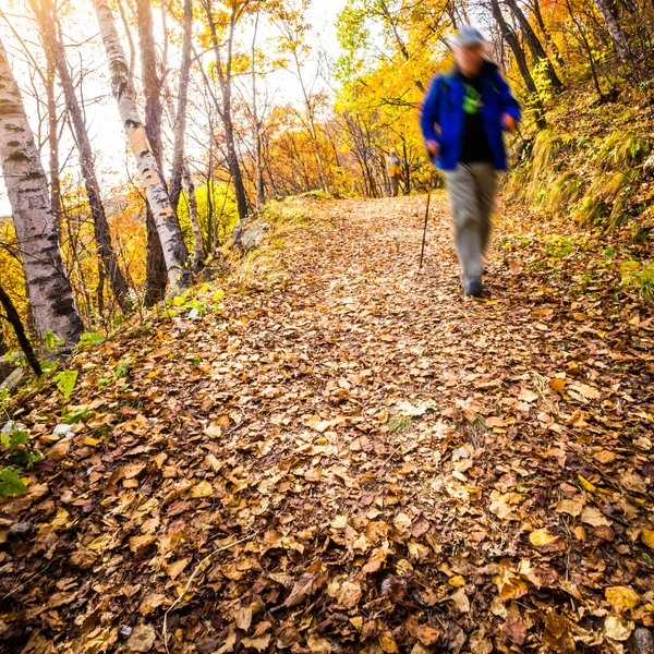 Sonbahar yolu — Stok fotoğraf